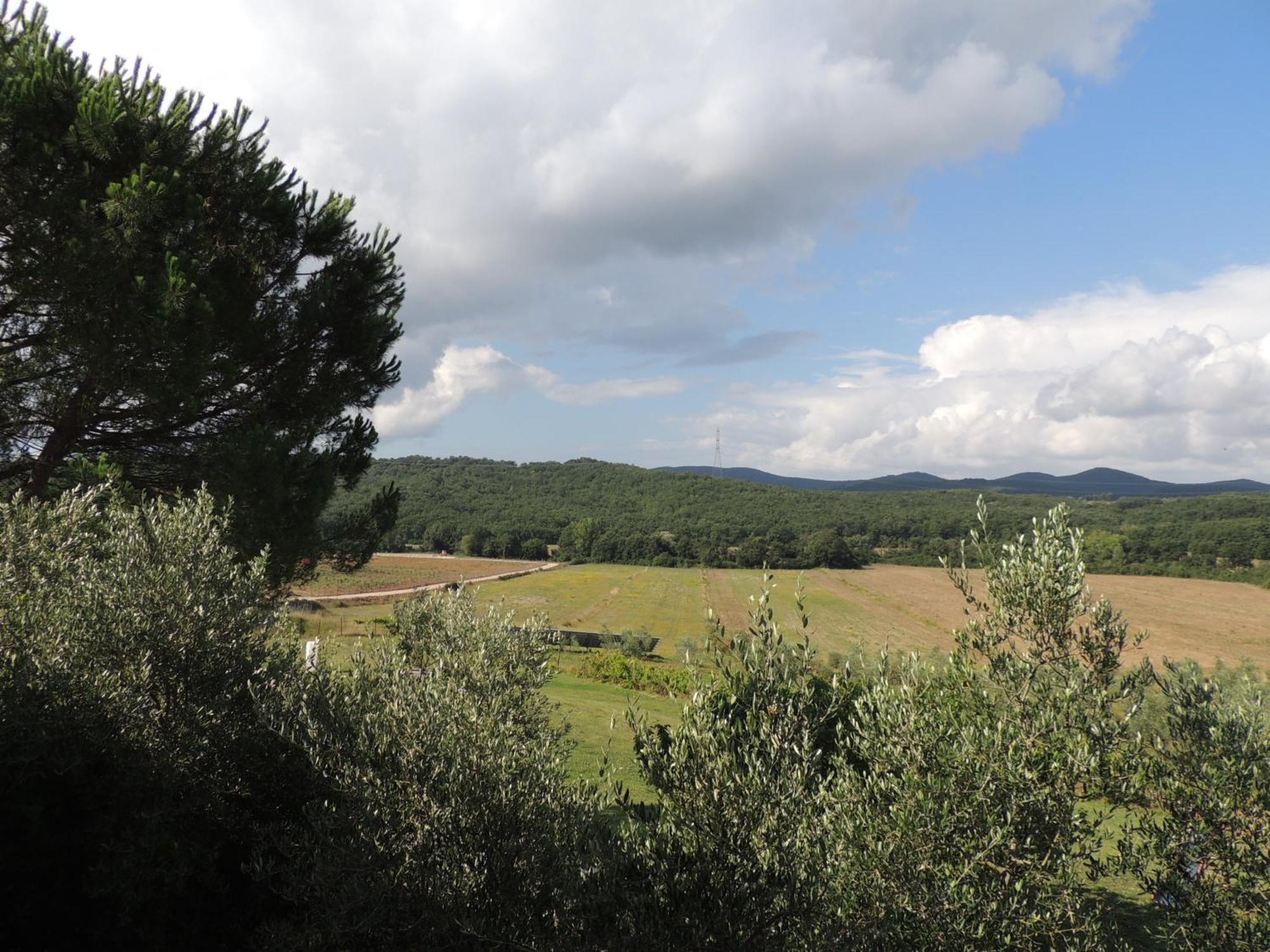 Agriturismo Podere Borgognano Massa Marittima Pokoj fotografie