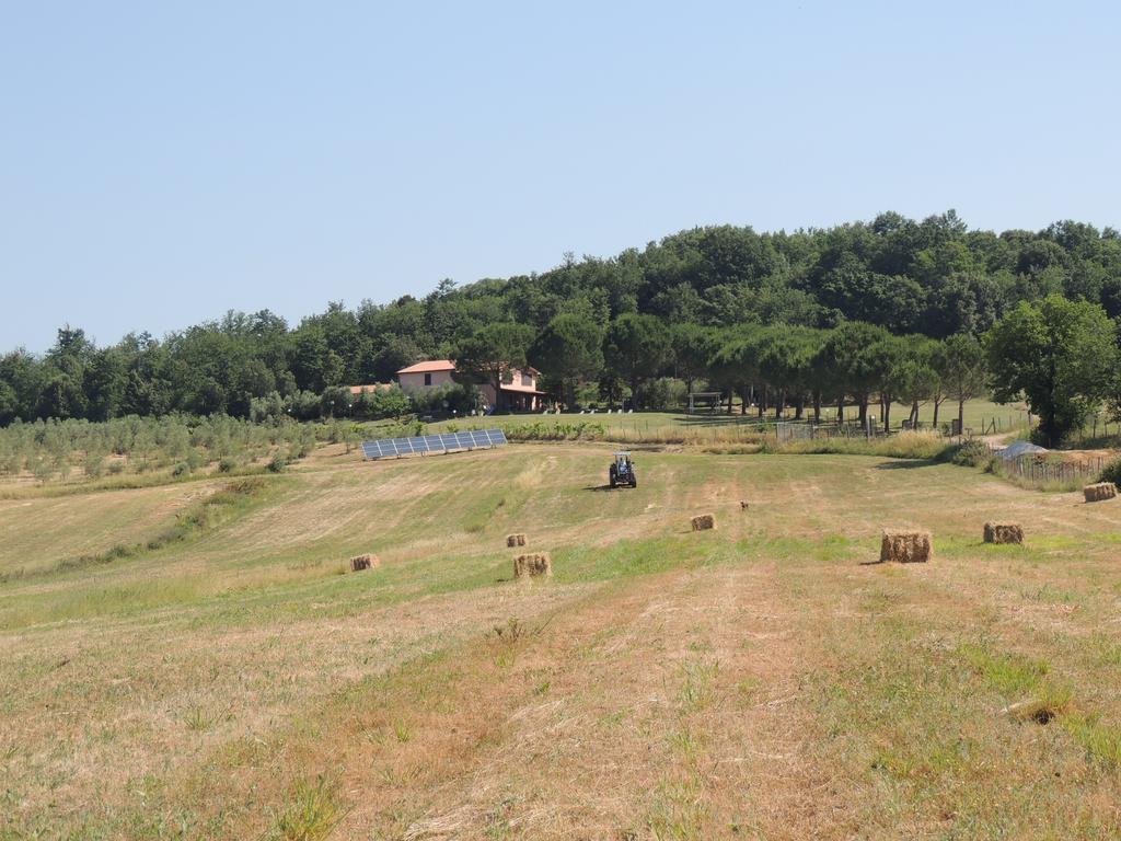 Agriturismo Podere Borgognano Massa Marittima Exteriér fotografie