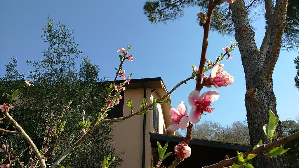 Agriturismo Podere Borgognano Massa Marittima Exteriér fotografie