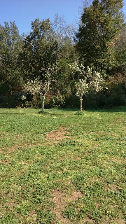 Agriturismo Podere Borgognano Massa Marittima Exteriér fotografie