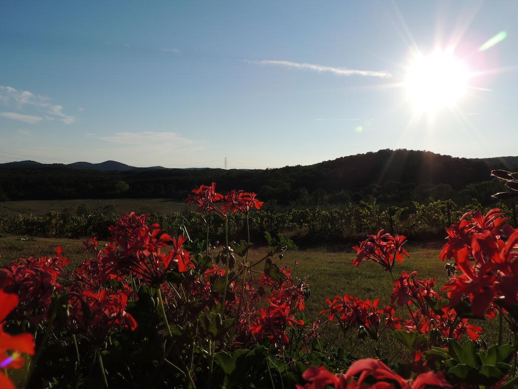 Agriturismo Podere Borgognano Massa Marittima Exteriér fotografie