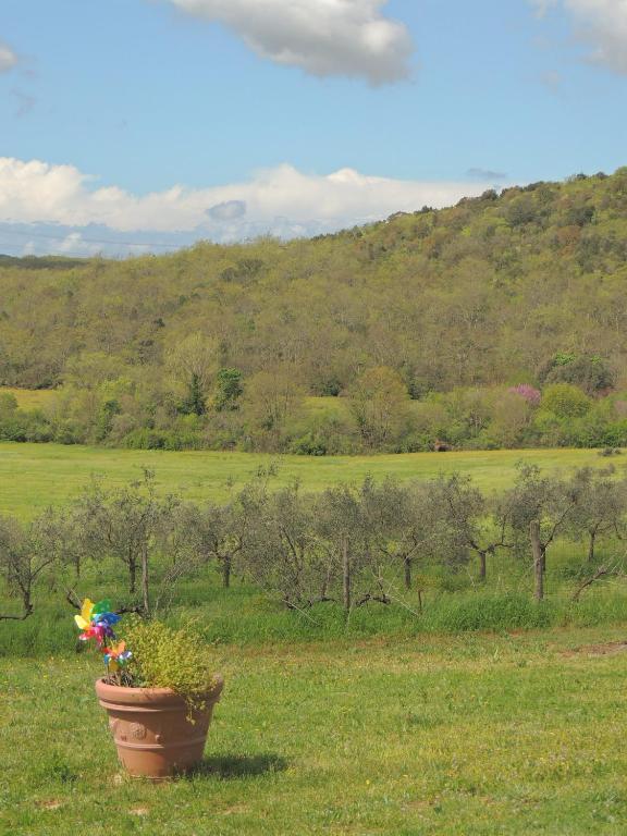 Agriturismo Podere Borgognano Massa Marittima Exteriér fotografie